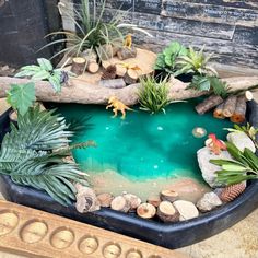 a fish pond filled with plants and rocks