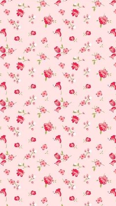 a pink wallpaper with red flowers and green leaves on the bottom half of it