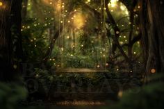 an open window in the middle of a forest filled with lights