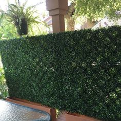 an outdoor table and bench are in front of a hedge