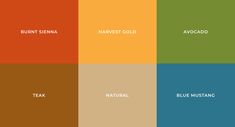 the color scheme for an autumn / winter palette, with different colors in each section