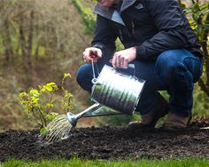 a woman is watering her plants in the garden with a metal bucket and rakel