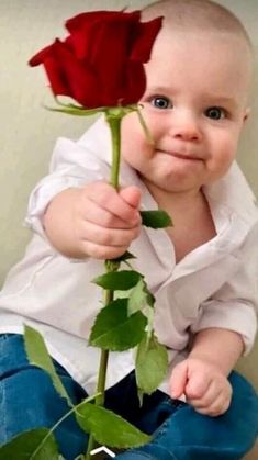 a baby sitting on the ground with a rose in its mouth