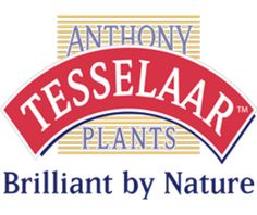 the logo for teeselar plants making gardening easy