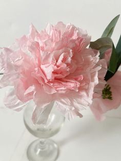 a pink flower in a clear glass vase