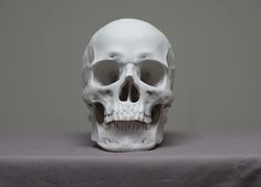 a white human skull sitting on top of a gray tableclothed surface with one eye open and the other half closed