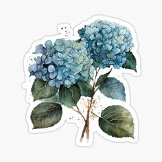 Watercolor Hydrangea Sticker for Sale by Yeam Hydrangea Sticker, Watercolor Hydrangea, Candy Stickers, Dinosaur Stickers, Easter Stickers, Inspirational Stickers, Watercolor Stickers, Blue Hydrangea