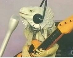 a lizard with headphones and a guitar