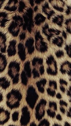 an animal print pattern is shown in black and brown colors on the skin of a leopard or cheetah