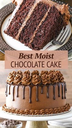 the best moist chocolate cake recipe is made with only three ingredients and it's so good to eat