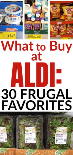 what to buy at aldi - 30 frugal favorites