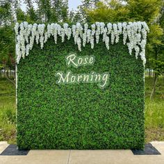 an artificial boxwood hedge with white flowers and the words rose morning written on it