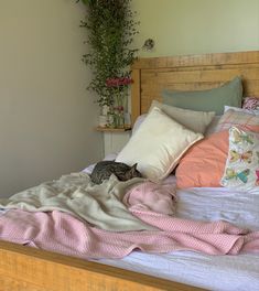 a cat laying on top of a bed covered in blankets and pillows next to a potted plant