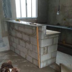 a dog laying on the floor in front of a brick wall with a window behind it