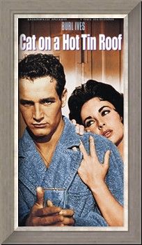 the movie poster for cat on a hot tin roof