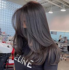 Soft Long Layers Medium Hair, Soft Long Layers Long Hair, Long Soft Layers Haircut, Soft Layers Long Hair, Soft Layers Medium Hair, Soft Layered Haircut, Haircuts For Long Hair Straight, Brown Hair Looks