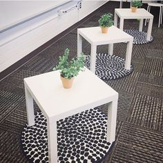 three white tables with plants on them in the middle of an area ruged floor