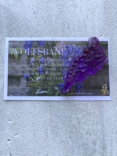 a sticker on the side of a building that says wolfsband park with purple flowers