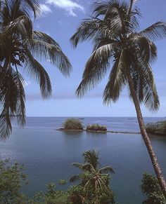 two palm trees on the side of a body of water with an island in the distance