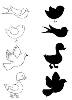 the silhouettes of birds are shown in black and white