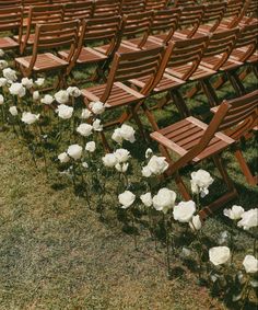 rows of wooden chairs lined up with white flowers in the grass next to each other