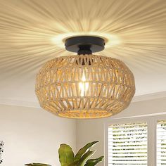 a living room scene with focus on the ceiling light and plant in the foreground