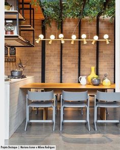 a dining room table with four chairs and a potted plant on the wall behind it