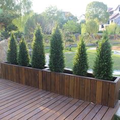 some very pretty trees in a big potted planter on a wooden deck outside