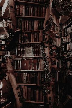 the bookshelves are filled with many different types of books and have vines growing on them