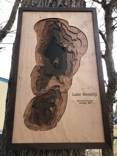 a wooden sign that is on the side of a tree