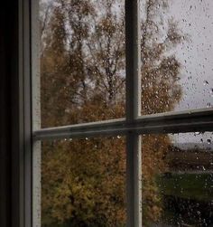 a window with rain drops on it looking out at the trees outside in the yard