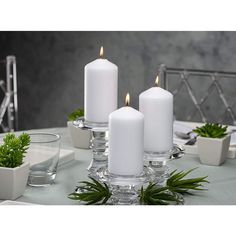 three white candles sitting on top of a table next to small plants and glass vases