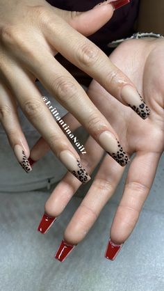 Red Black And Cheetah Nails, Chrome Cheetah Nails, Red Leapord Nails, Red And Black Cheetah Nails, Box Nail Designs, Stiletto Cheetah Nails, Red And Cheetah Print Nails, Red Nails With Leopard Print, Chetta Print Nail