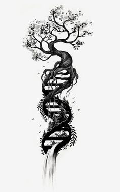 an ink drawing of a tree with roots growing out of the top and below it