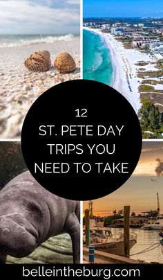 the beach with text overlay that reads 12 st pete day trips you need to take