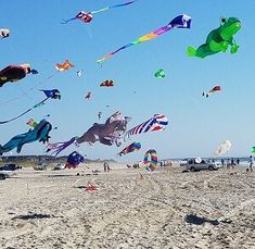 many kites are being flown on the beach