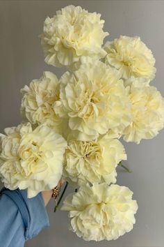 a person holding a bunch of white flowers in their hand with the background gray wall