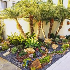 a garden with plants and rocks in front of a building