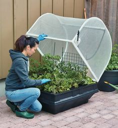 a woman kneeling down in front of a greenhouse