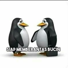 two penguins standing next to each other with the caption saying sip memebranas bucuin