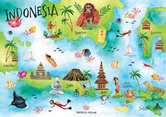 an illustrated map of indonesia with animals and other things