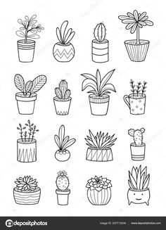 hand drawn potted plants and succulents