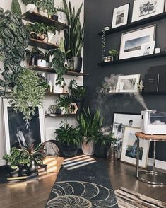 a living room filled with lots of plants and framed pictures on the wall next to a rug