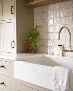 a white sink sitting under a window next to a green plant in a pot on top of a counter