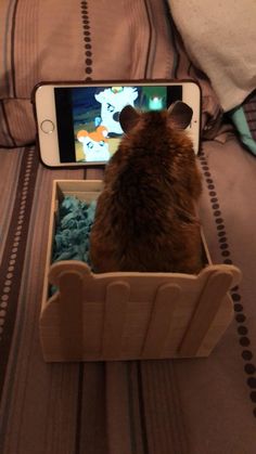 a hamster is looking at an image on his cell phone while sitting in a bed