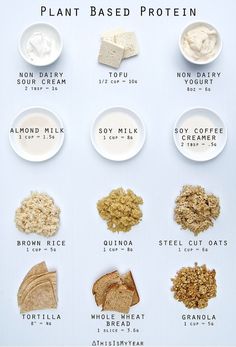 the ingredients for plant based proteins on a white background