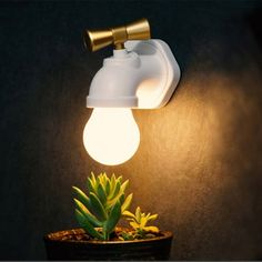 a light that is on in the wall next to a potted plant with succulents