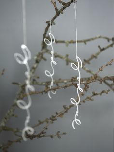 some white string hanging from a tree branch