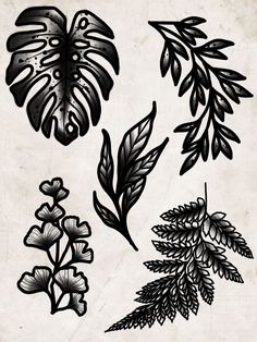 four different types of leaves and flowers on a white background, each with black ink