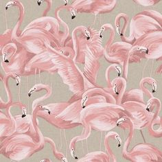 a flock of pink flamingos standing next to each other on a light green background